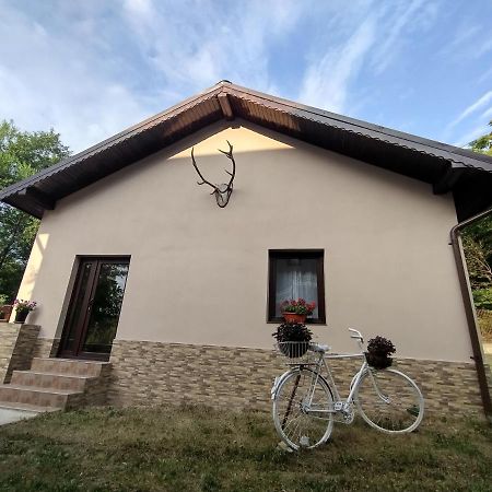 Casa De Vacanta Radu Novaci-Străini Zewnętrze zdjęcie