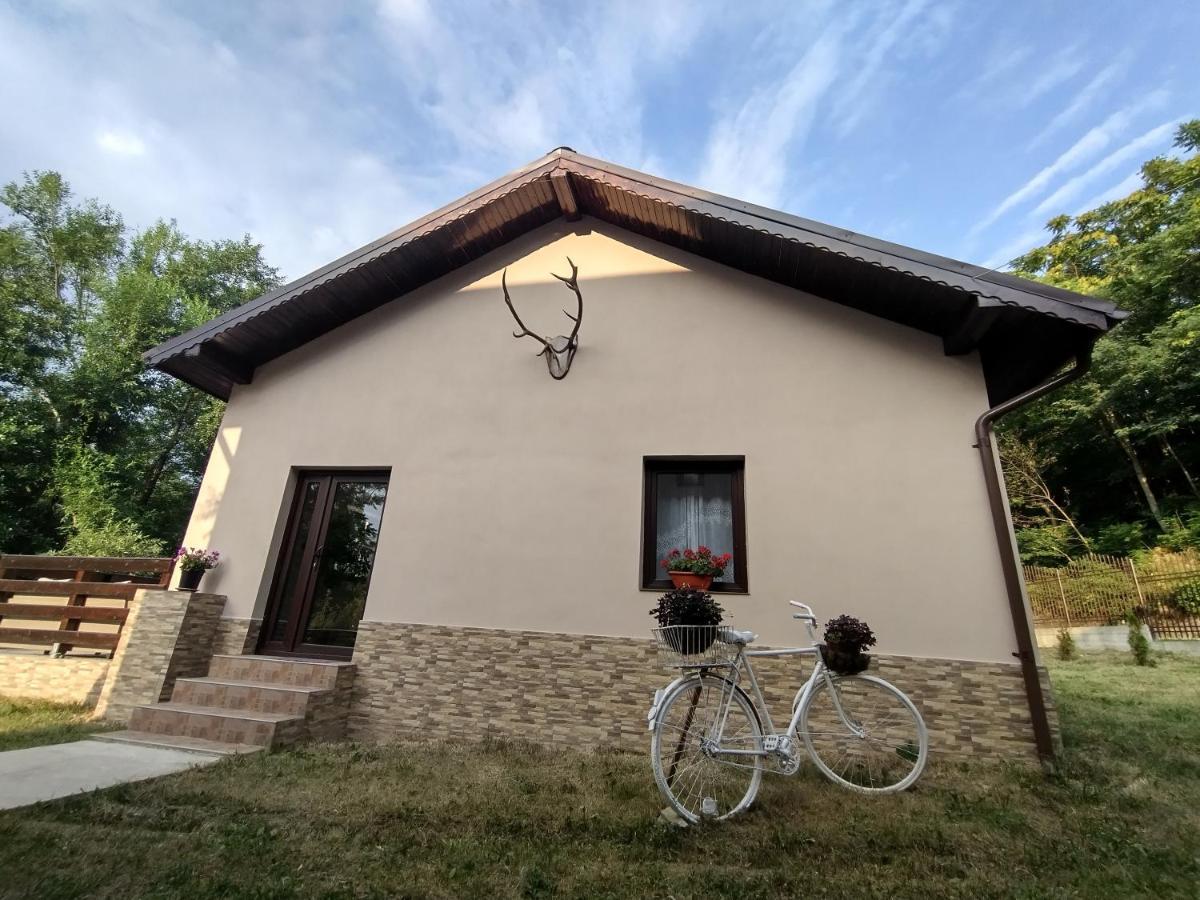 Casa De Vacanta Radu Novaci-Străini Zewnętrze zdjęcie